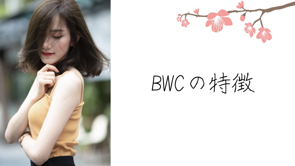 Best Waifu Collection(BWC)の特徴7つ