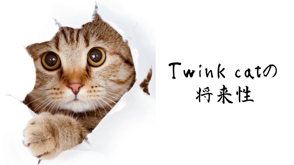 Twink catの将来性4つ
