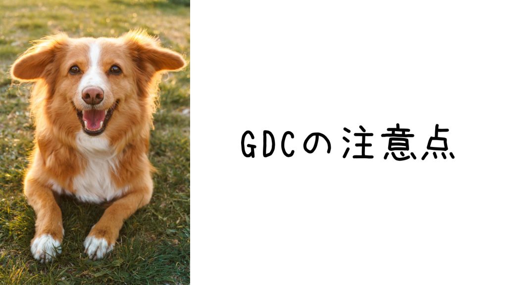Ghost Doggy Collectionの注意点4つ