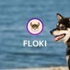【仮想通貨】Floki Inu(FLOKI)とは？特徴や買い方・将来性を解説